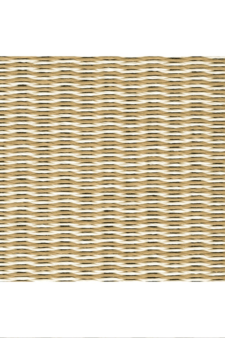 COAST地毯
